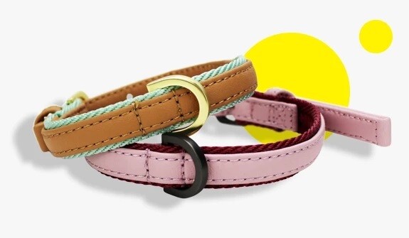 BeOneBreed Vegan Leather Urban Chic Collar