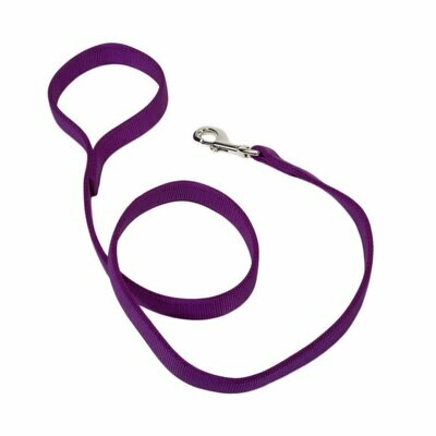 Coastal Double Ply Nylon Dog Leash 6'