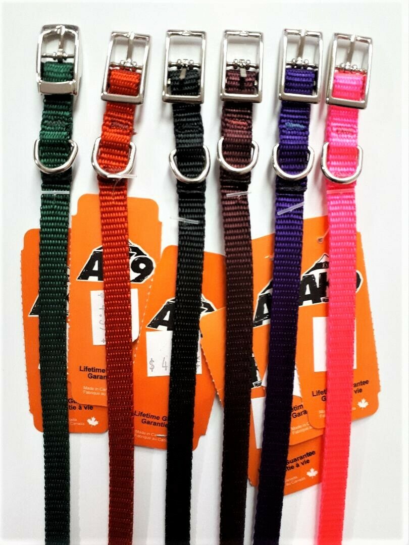 AK-9 Single Layer Buckle Dog Collar, Size: 3/8 x 12", Colour: Black