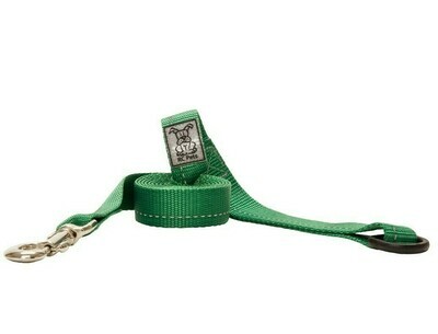 RC Pets Leash Primary Green 3/4