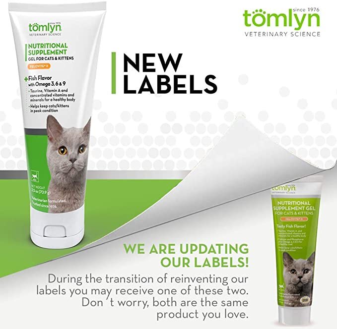 Kitten top vitamin supplement
