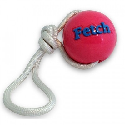 Planet Dog Orbee Tuff Fetch Ball with Rope