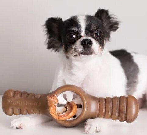 peanut butter pawplexer