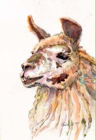 Cedar Grove Farm Art Studio Greeting Cards Assorted