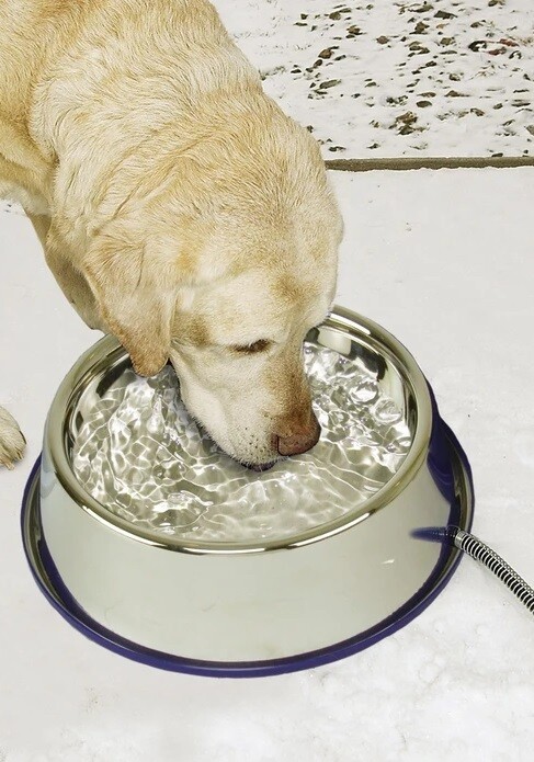 K&H Stainless Steel Thermal Bowl 3L K&H Stainless Steel Thermal Bowl 3L