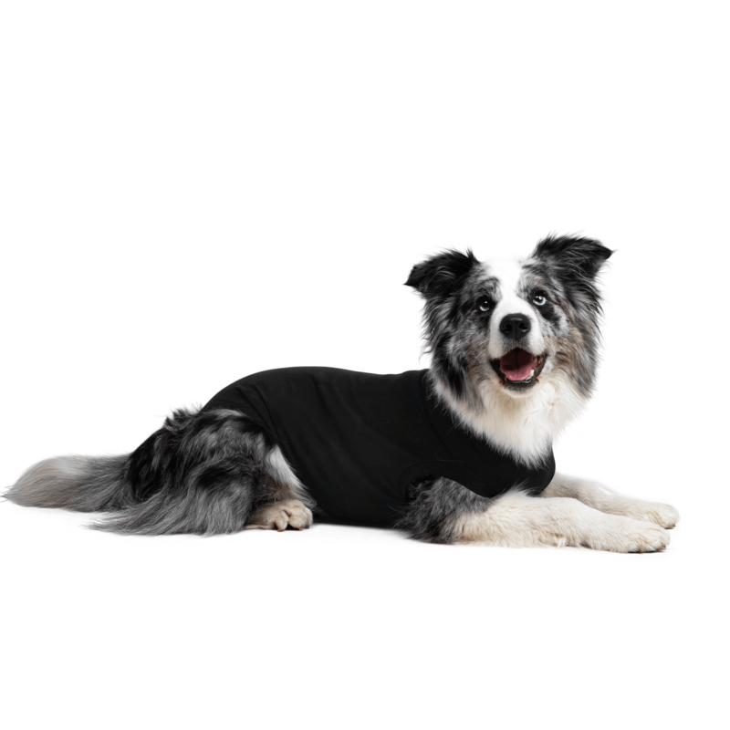 Suitical Recovery Suit Dog
