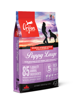 Orijen Dog Food Puppy Large Breed 11.4kg