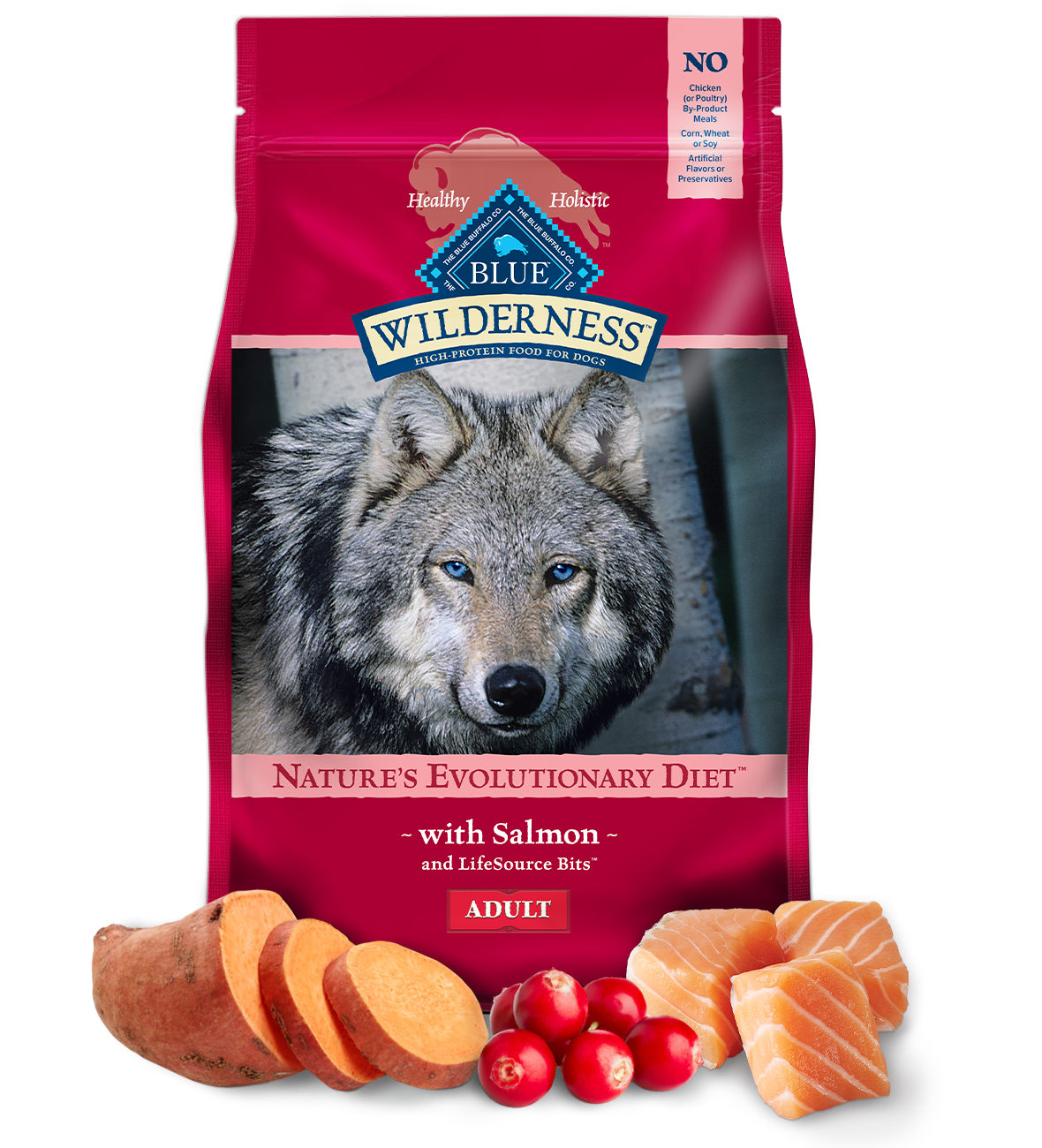 Blue Wilderness Dog Food Adult Grain-Free Salmon 10.9kg