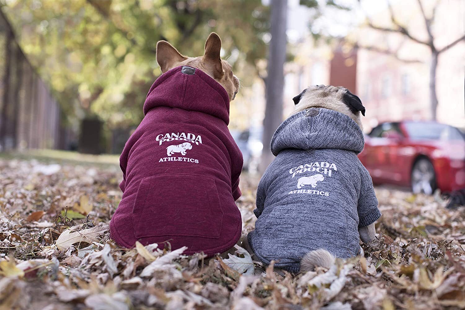 Canada pooch sales caribou hoodie