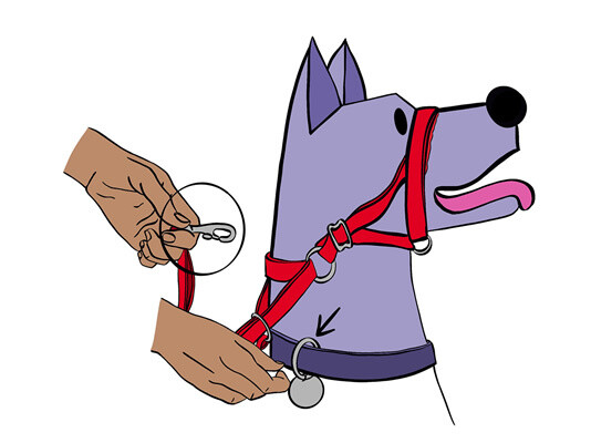 NewTrix Dog Halter Nano 5 10lbs Red