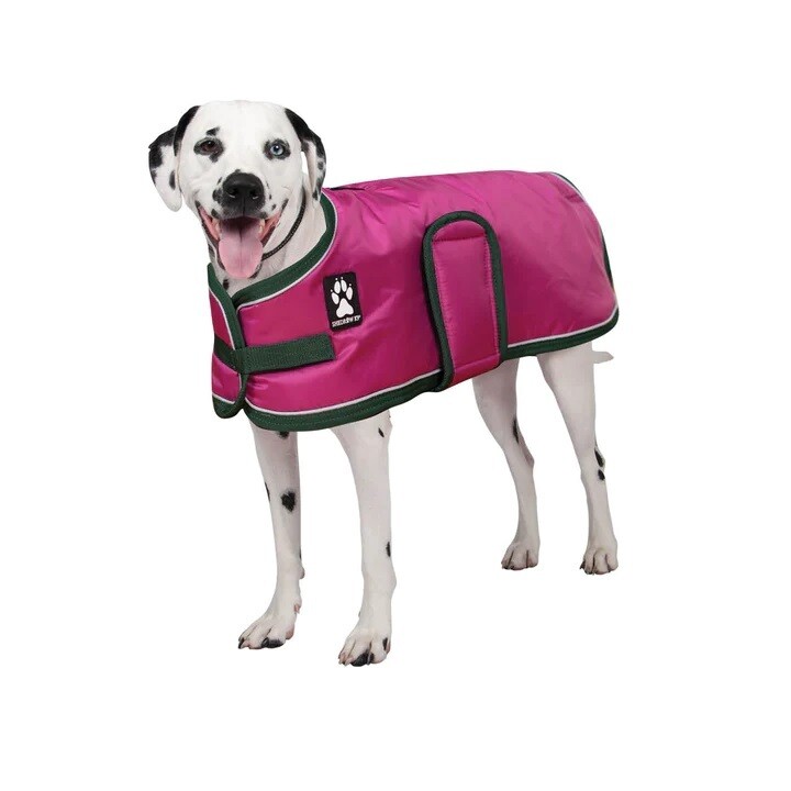 Shedrow K9 Vail Dog Coat Festival Fuchsia