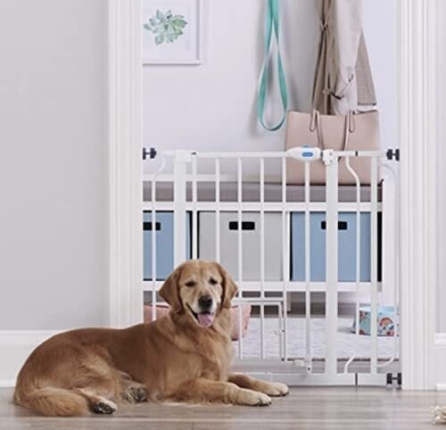 Carlson Extra Wide Pet Gate 29-36.5"x30" with 8x8" Pet Door