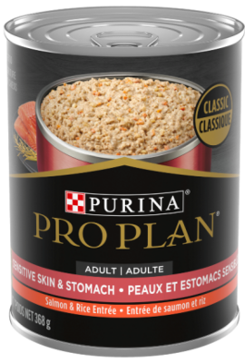 Purina Pro Plan Focus Dog Food Canned Sensitive Skin & Stomach Salmon 369g (12pk)