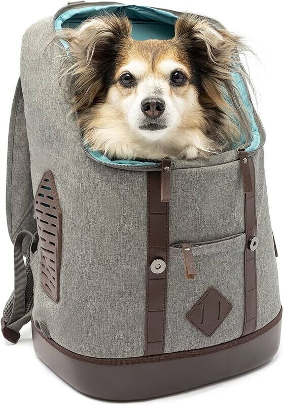 Kurgo K9 Rucksack Heather Grey