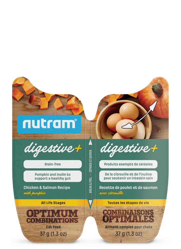 Nutram Wet Cat Food Digestive+ Chicken & Salmon Recipe with Pumpkin 74g (16pk)
