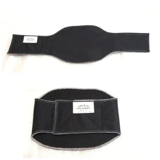 Jack & Jill Washable Male Belly Band