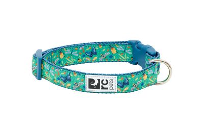 RC Pets Clip Collar Patterned