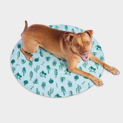 GF Pet Ice Mat Cactus L