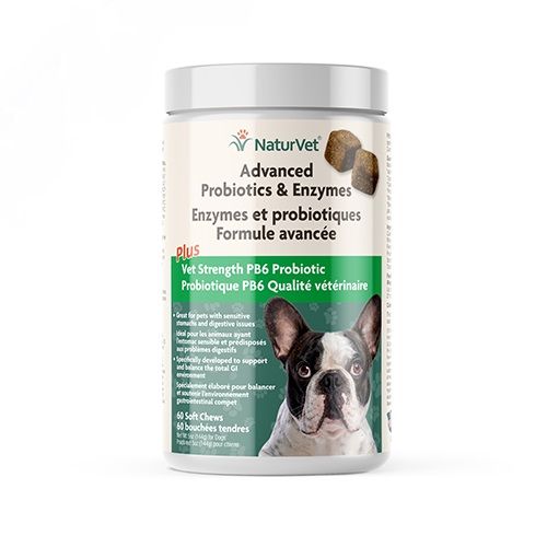 NaturVet Advanced Probiotics & Enzymes Plus Vet Strength PB6 Probiotic Soft Chews for Dogs 60ct