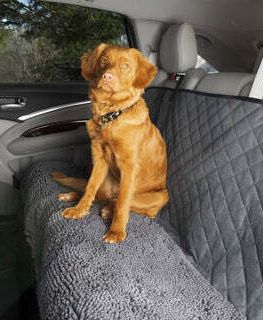 Dog Gone Smart Dirty Dog 3-in-1 Car Seat Cover and Hammock Grey