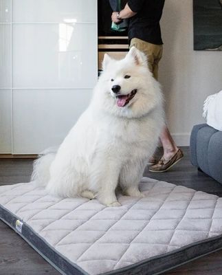 BeOneBreed Diamond Bed