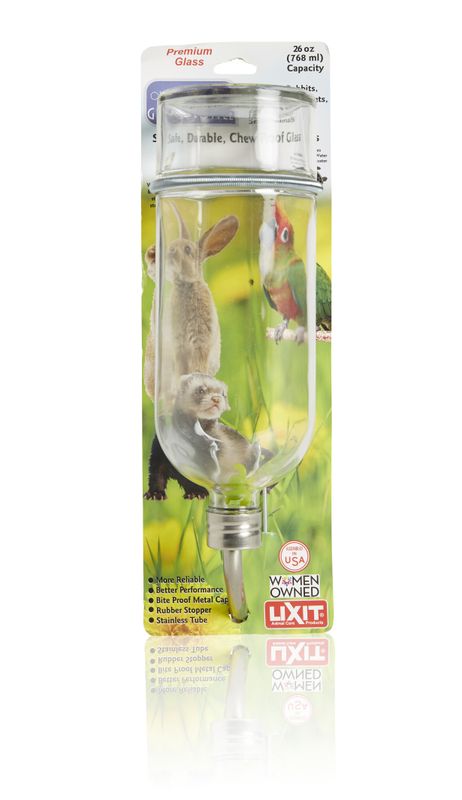 Lixit Chew Resistant Glass Water Bottle