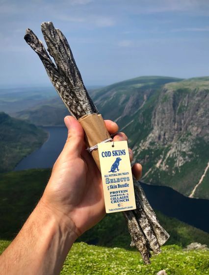 Land & Sea Cod Skin Selects 12" 5pc