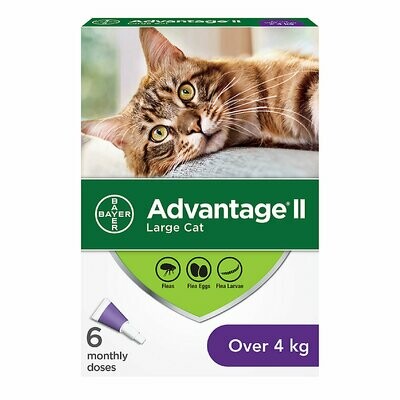 Advantage II Cat Topical Flea Treatment >4kg