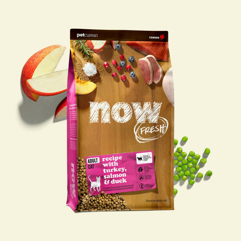 NOW FRESH Cat Food Grain-Free Adult