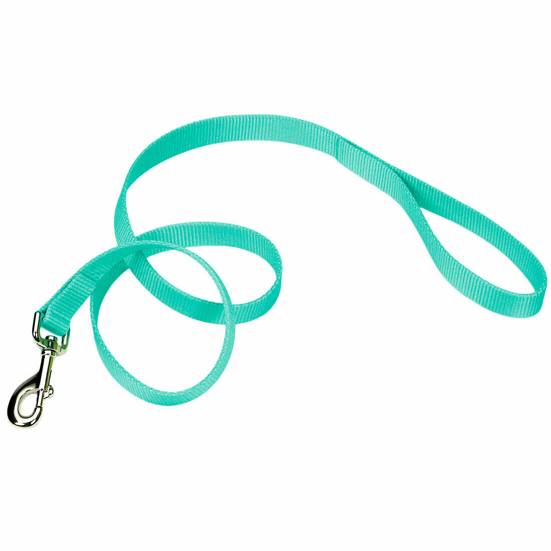 Coastal Single Ply Nylon Dog Leash 6'