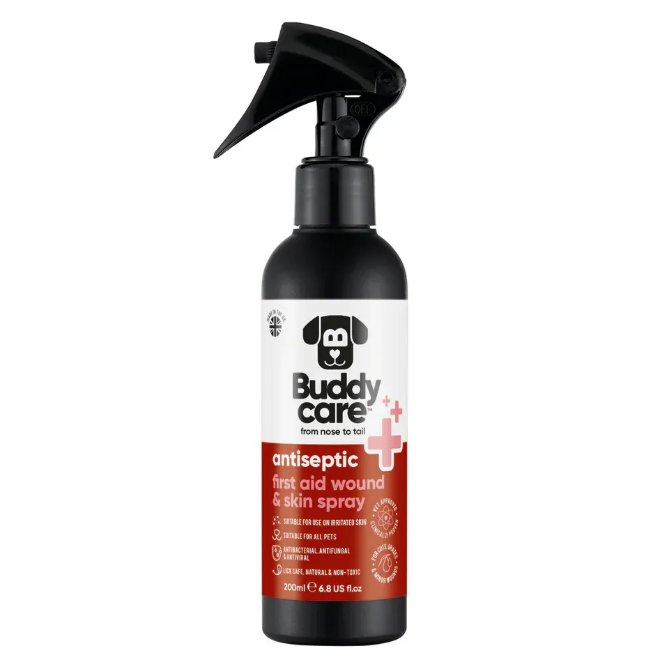 Buddycare Antiseptic First Aid Wound & Skin Spray 200ml