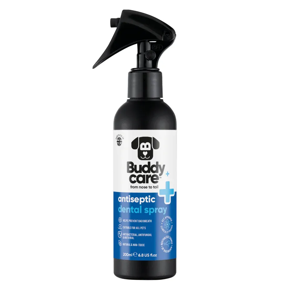 Buddycare Antiseptic Dental Spray 200ml