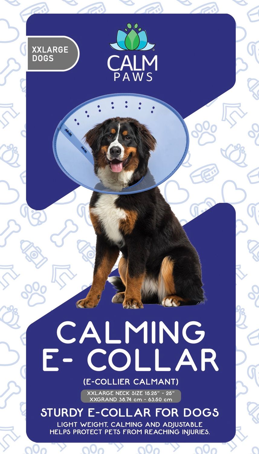 Acorn Calming E-Collar