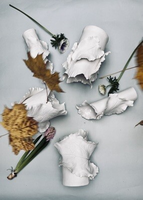COLLECTION FEUILLE