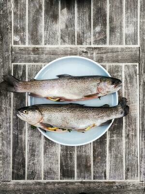 Poisson
