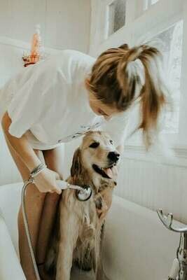 Soins