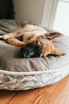 Coussin / Lit