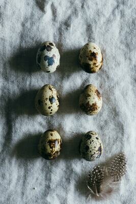 Oeufs
