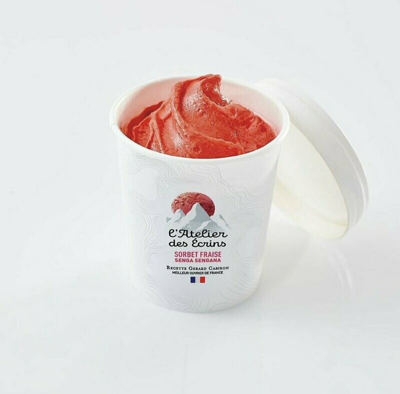 SORBET FRAISE senga sengana