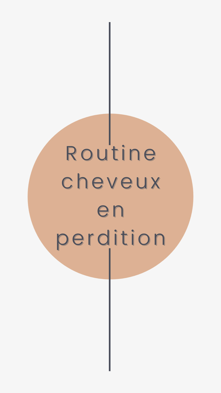 Routine - CHEVEUX EN PERDITION