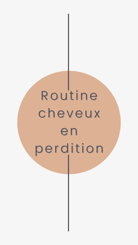 Routine - CHEVEUX EN PERDITION