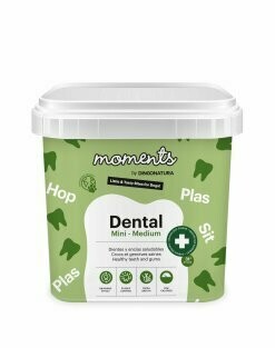 MOMENTS Dental mini-medium