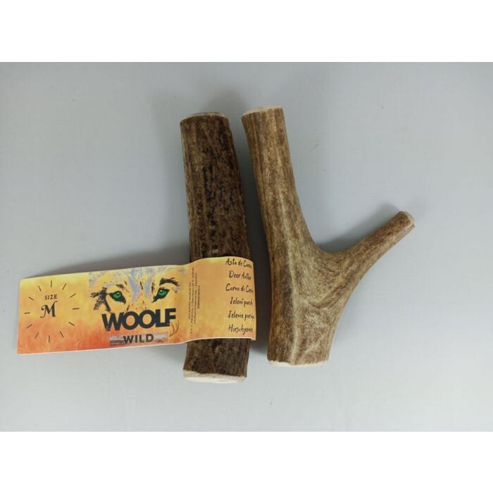 WOOLF Asta de ciervo