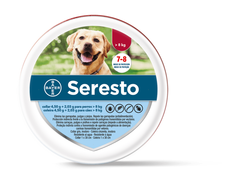 SERESTO Collar antiparasitario >8kg