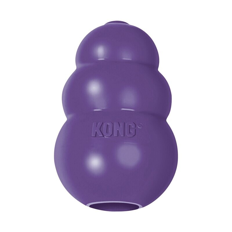 KONG Senior L