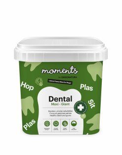 MOMENTS Dental maxi-giant