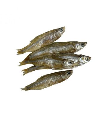 FRESH Pescaditos