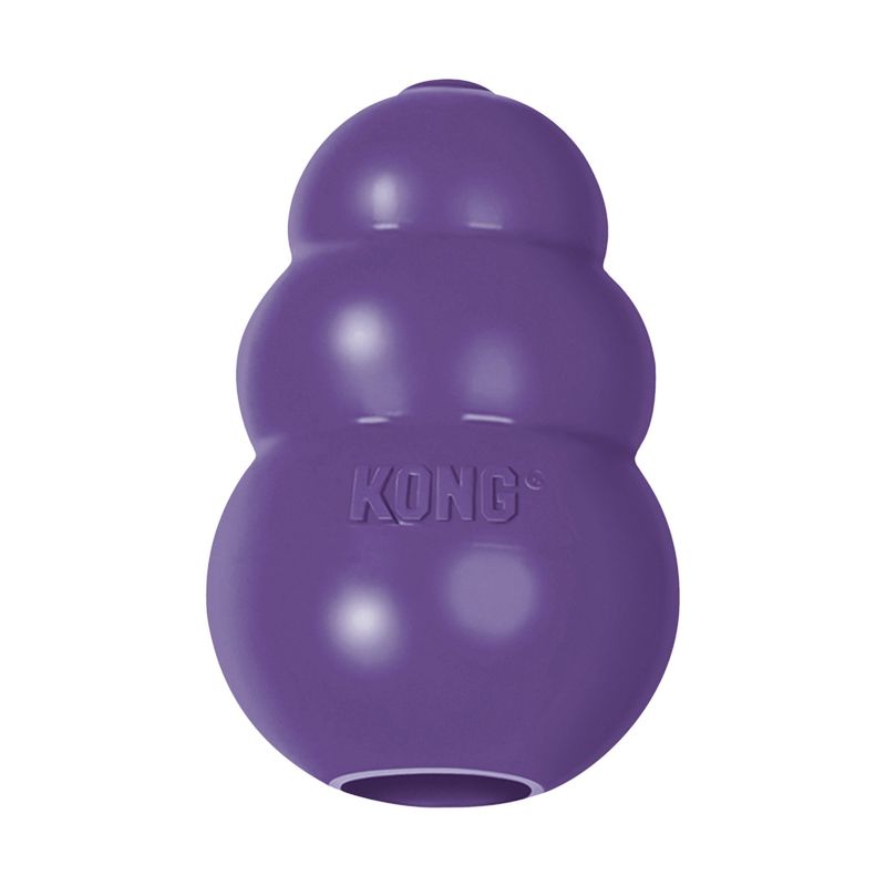 KONG Senior M