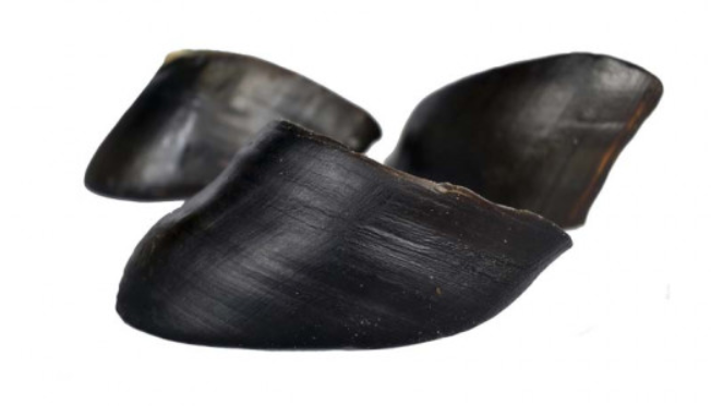 FRESH Pezuña de búfalo