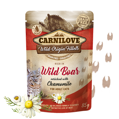 CARNILOVE Jabalí